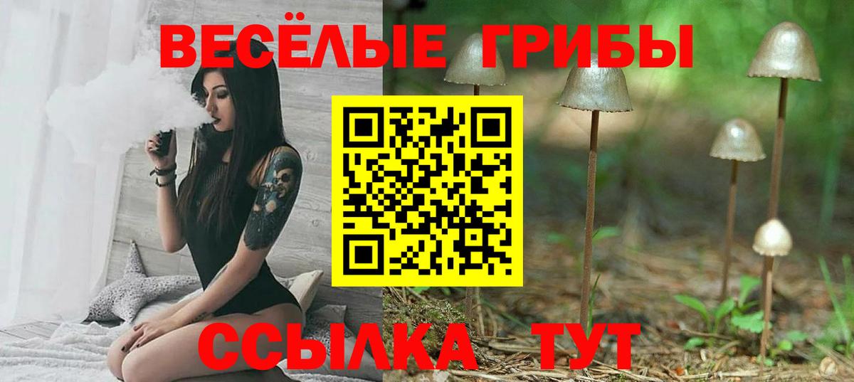 Псилоцибиновые грибы Magic Shrooms  Псилоцибиновые грибы Psilocybe  Вход с VPN  Озёры 